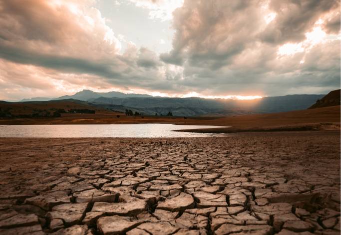 Image of dry cracked land