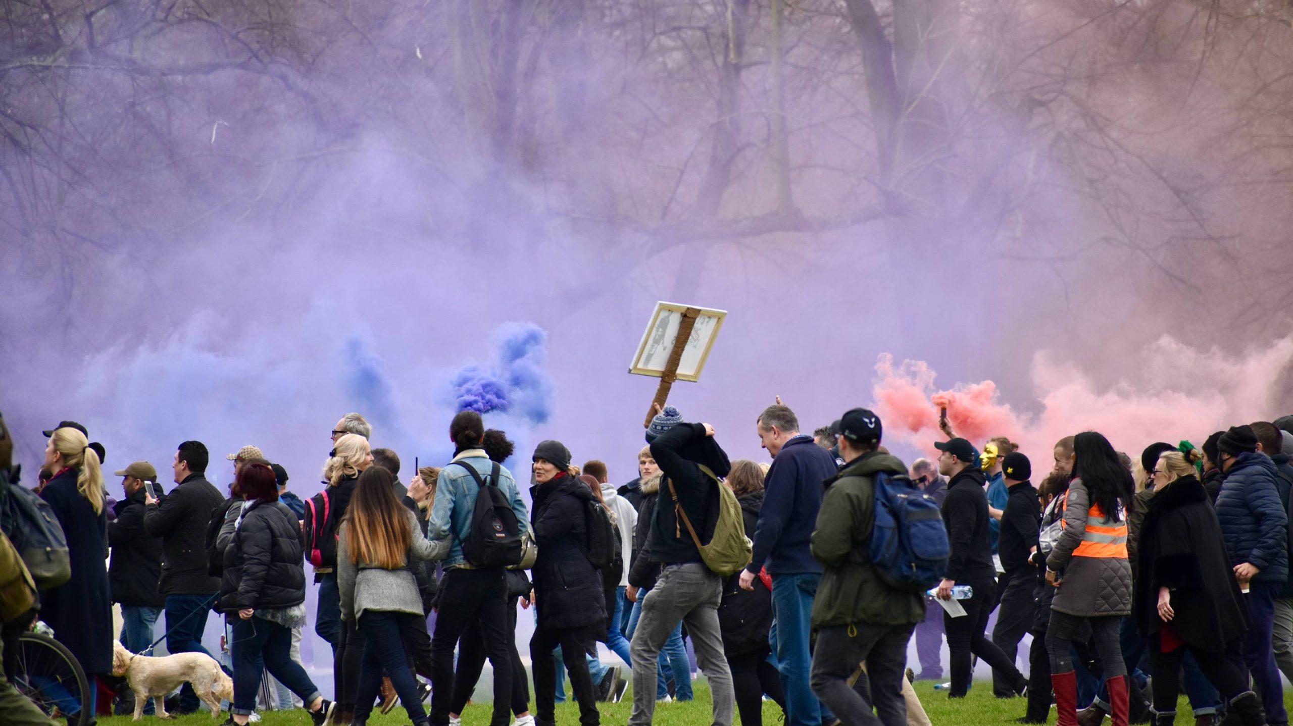 image of protestors marching